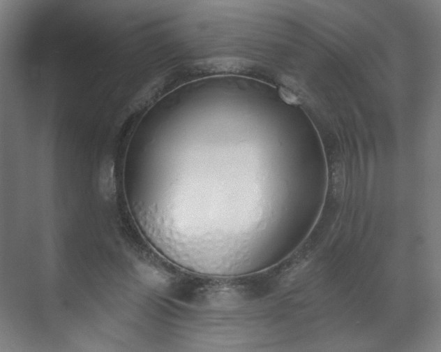 X0000071940254200607141440