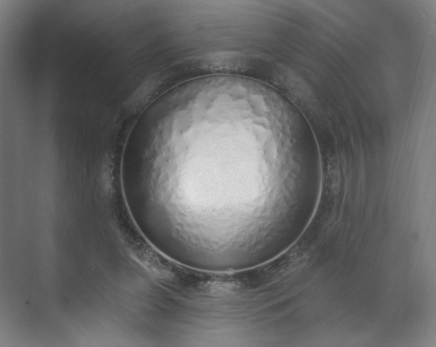 X0000071940255200607141440