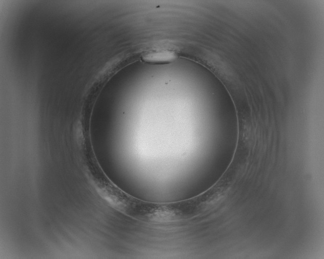 X0000071940256200607141440