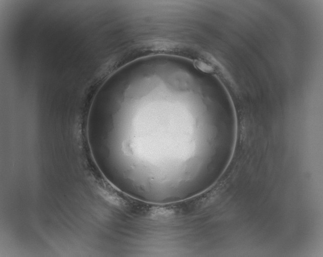 X0000071940257200607141440