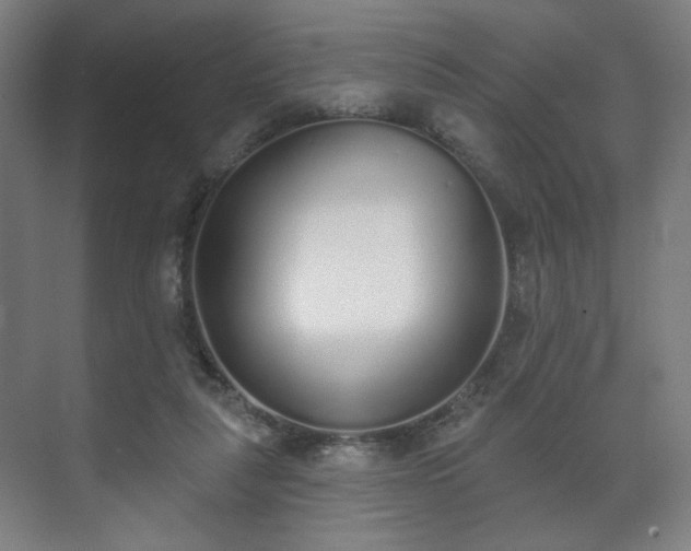 X0000071940259200607141440