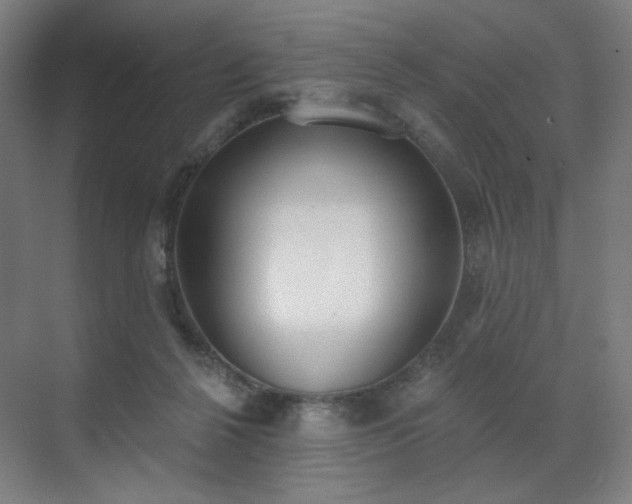 X0000071940264200607141440