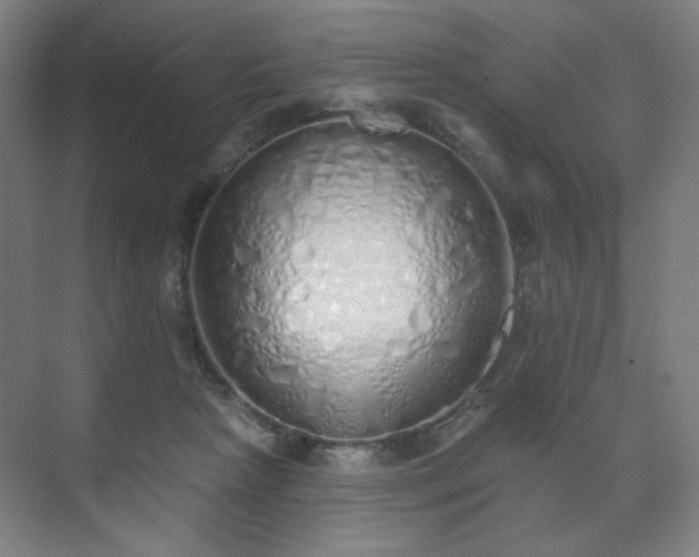 X0000071940265200607141440
