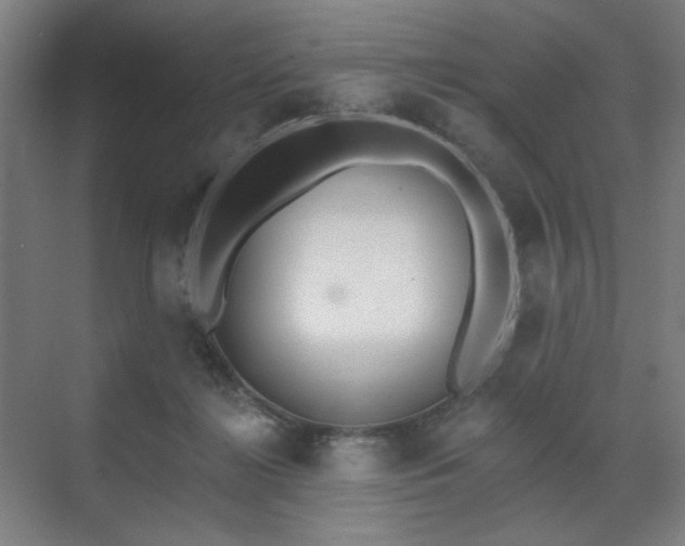X0000071940268200607141441