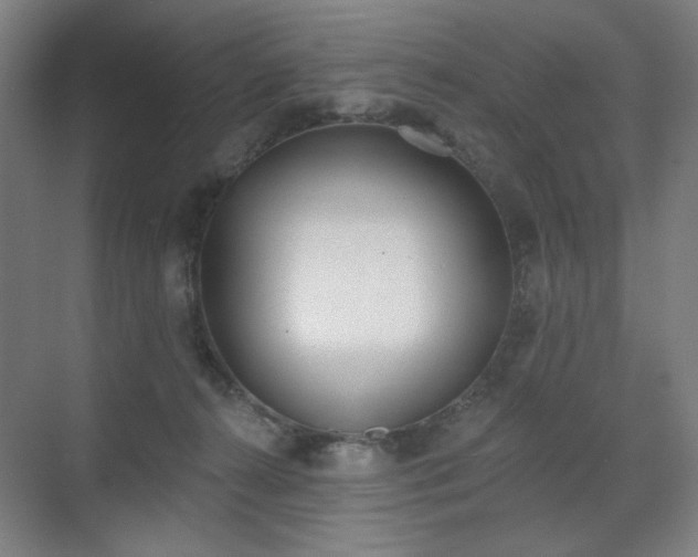 X0000071940272200607141441