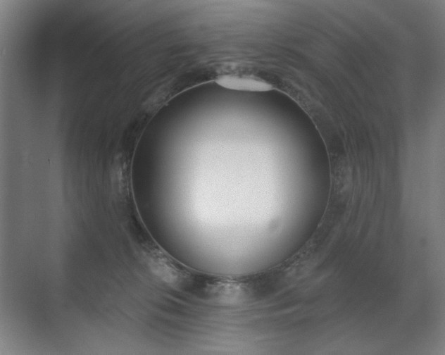 X0000071940276200607141441