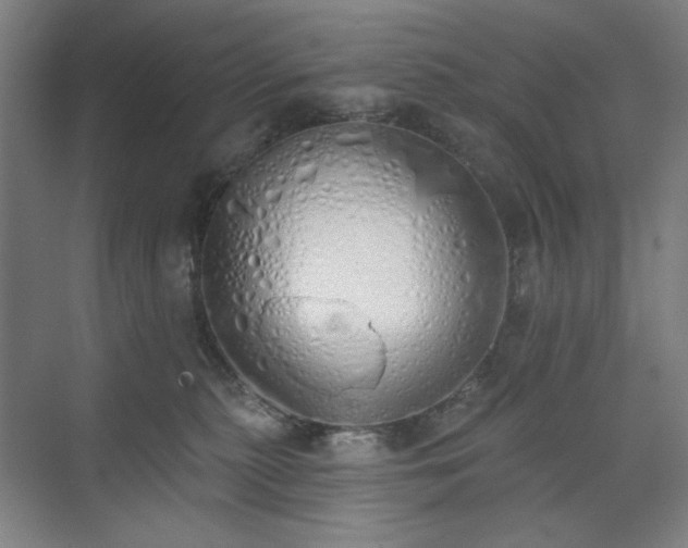 X0000071940279200607141441