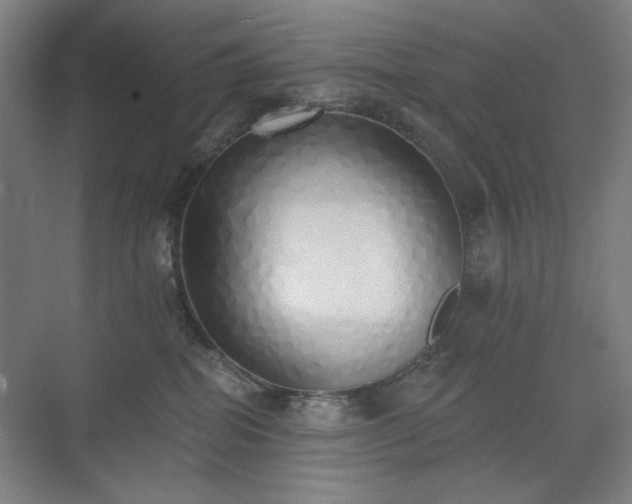 X0000071940282200607141441