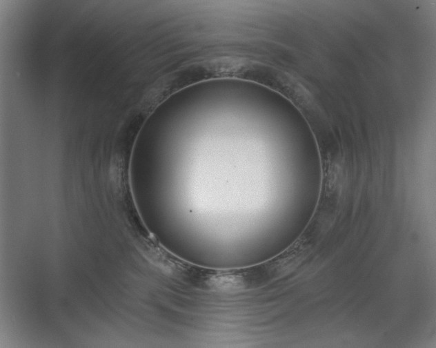 X0000071940283200607141441