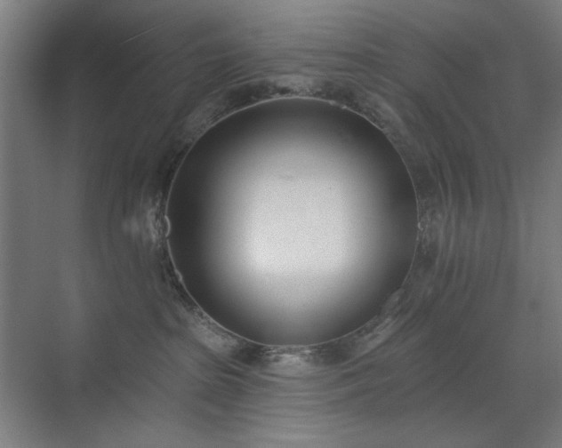 X0000071940285200607141441
