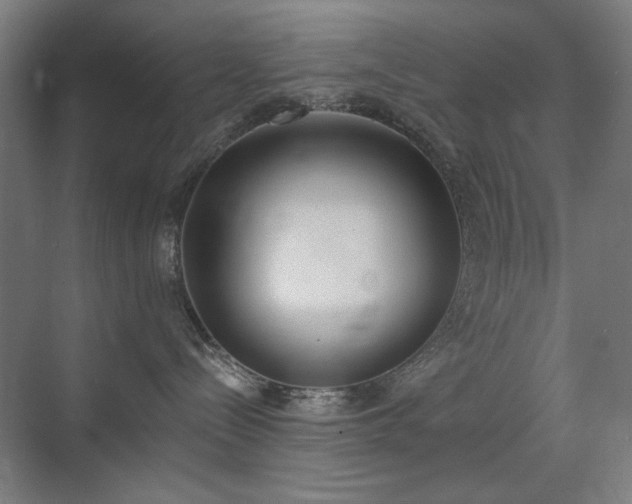 X0000071940288200607141441