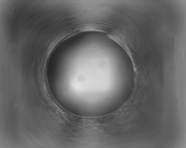 X0000071940289200607141440