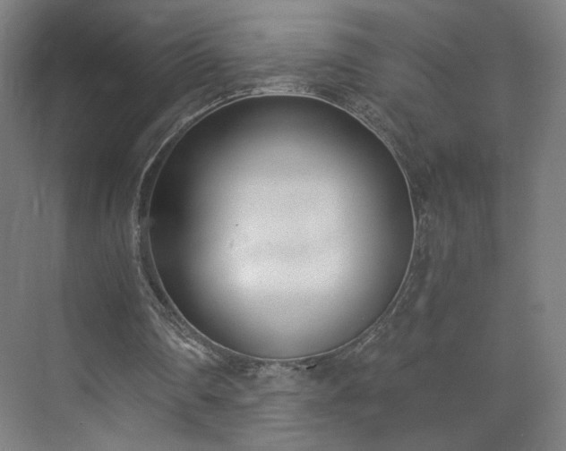 X0000071940290200607141440
