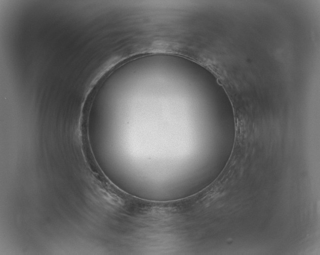 X0000071940292200607141440