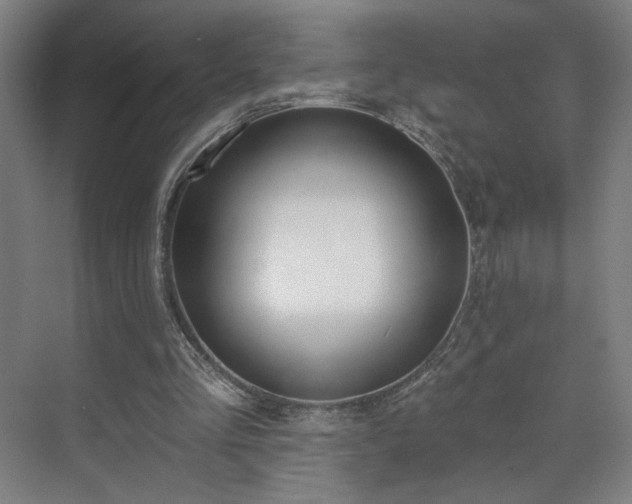 X0000071940293200607141440
