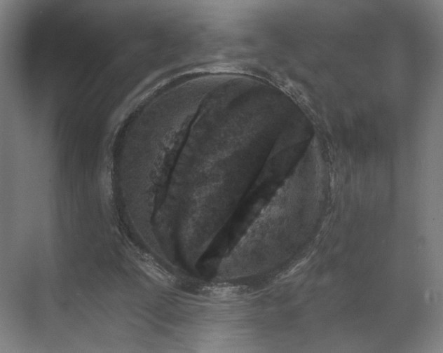 X0000071940295200607141440