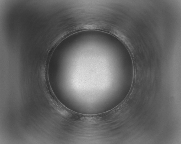 X0000071940297200607141440