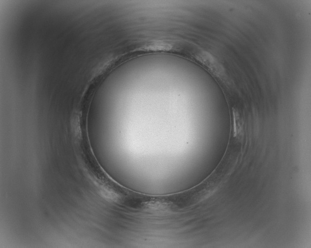 X0000071940300200607141440