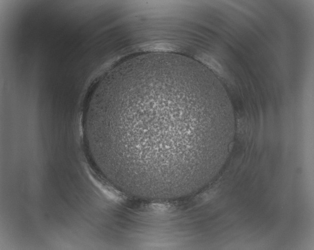 X0000071940302200607141440