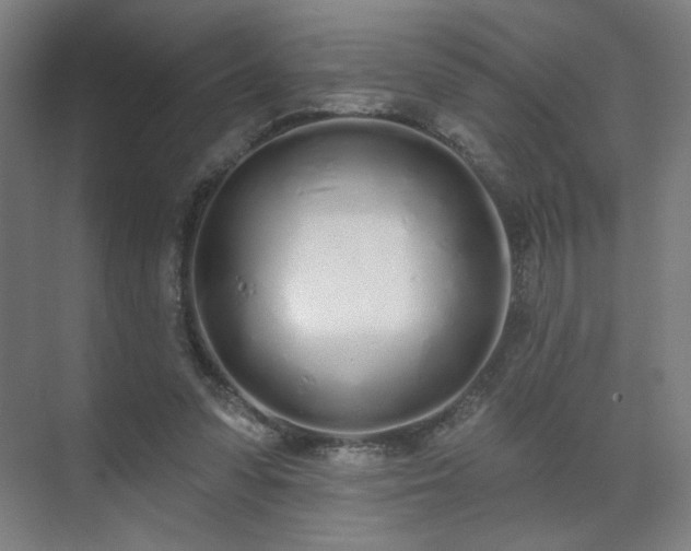 X0000071940303200607141440