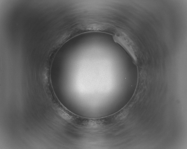X0000071940305200607141440