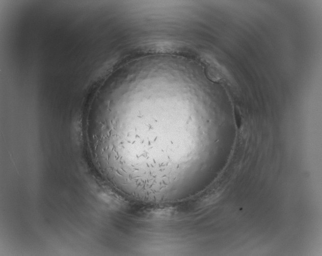 X0000071940306200607141440