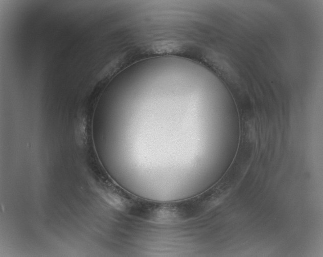 X0000071940308200607141440