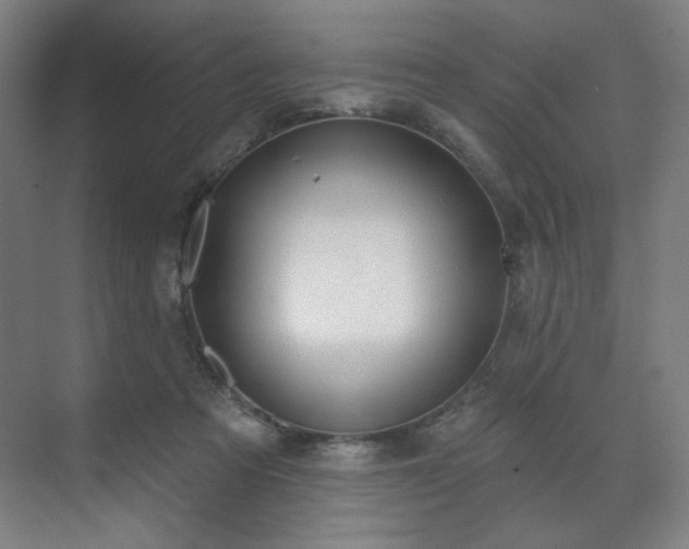 X0000071940313200607141440