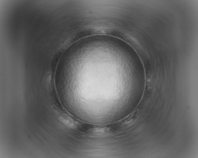 X0000071940314200607141440