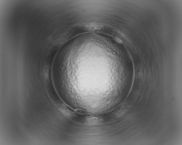 X0000071940315200607141440