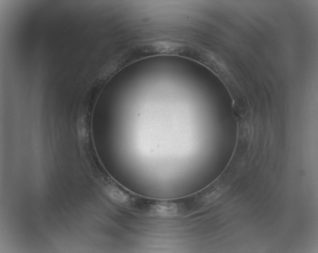 X0000071940317200607141440