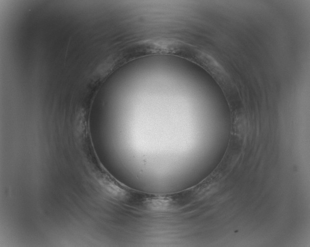 X0000071940318200607141440