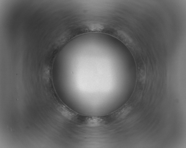 X0000071940321200607141440