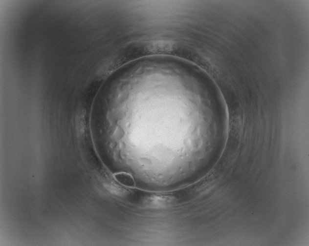 X0000071940323200607141439
