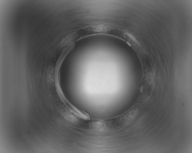 X0000071940325200607141439