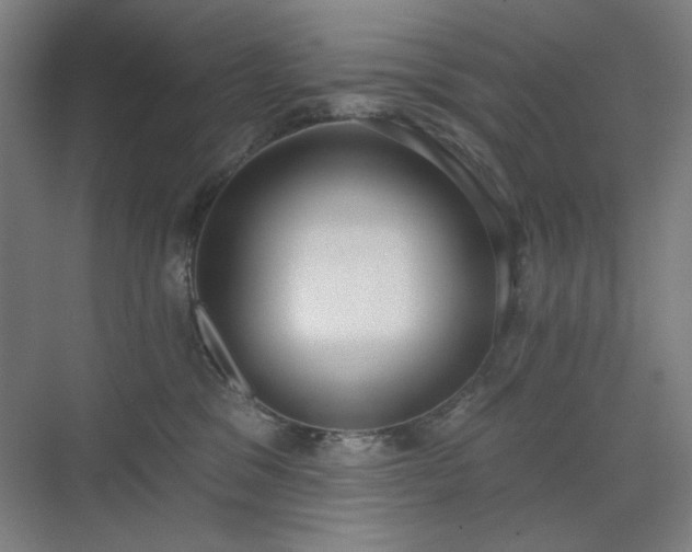 X0000071940329200607141439