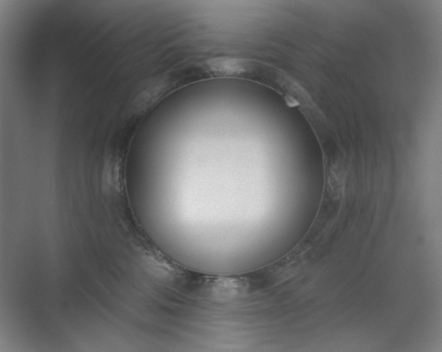 X0000071940330200607141439