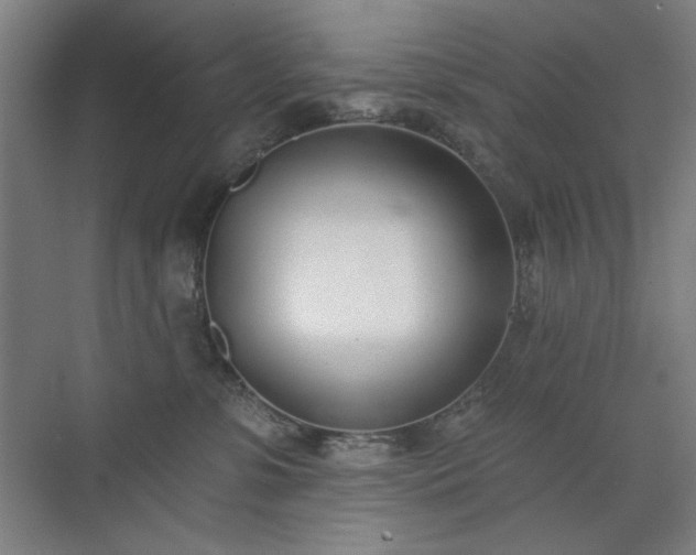 X0000071940331200607141439