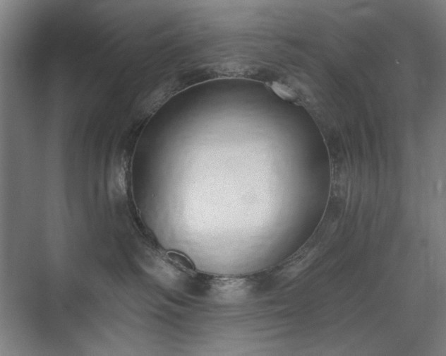 X0000071940334200607141439