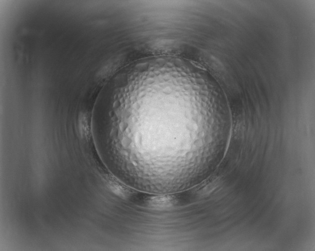 X0000071940335200607141439