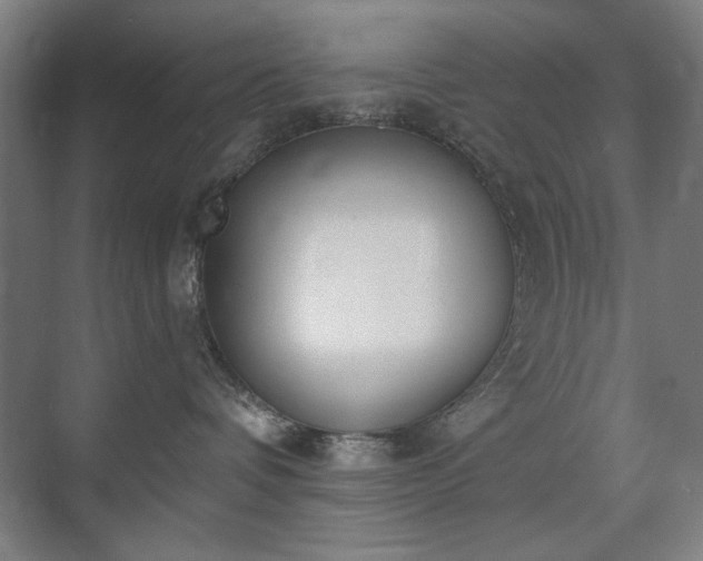 X0000071940336200607141439