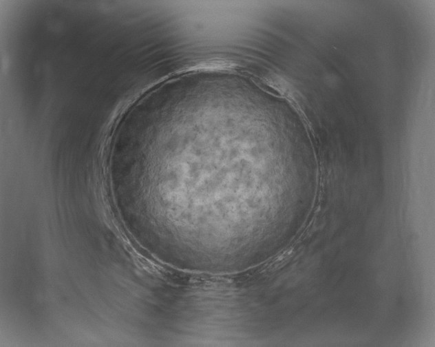 X0000071940337200607141438