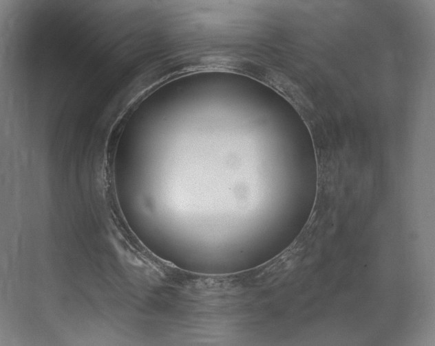 X0000071940338200607141438