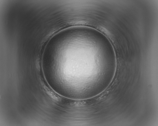 X0000071940345200607141439