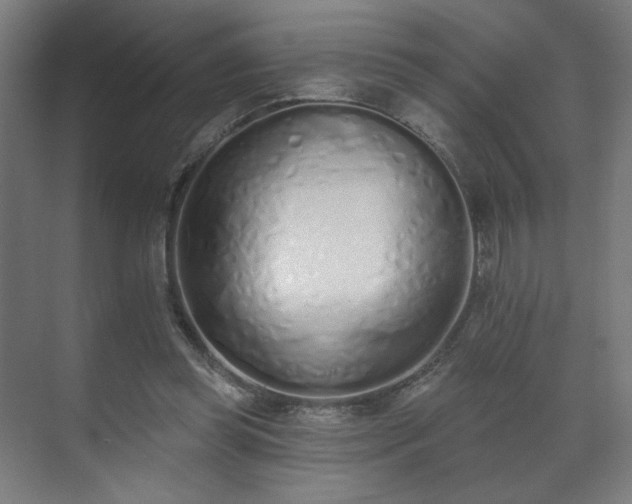 X0000071940349200607141439