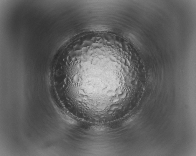 X0000071940351200607141439