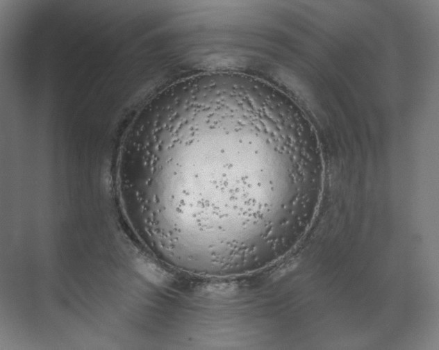 X0000071940353200607141439