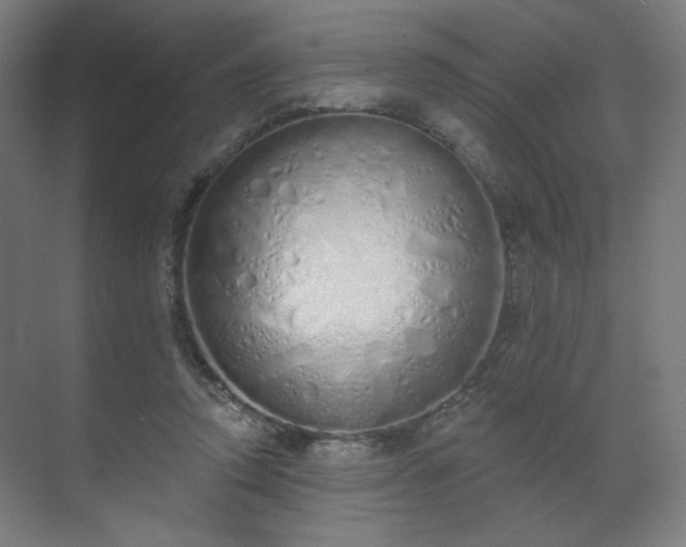 X0000071940354200607141439