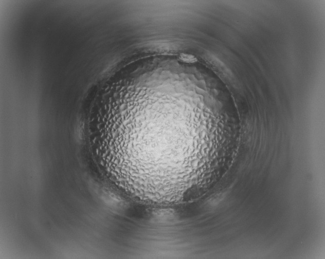 X0000071940355200607141439