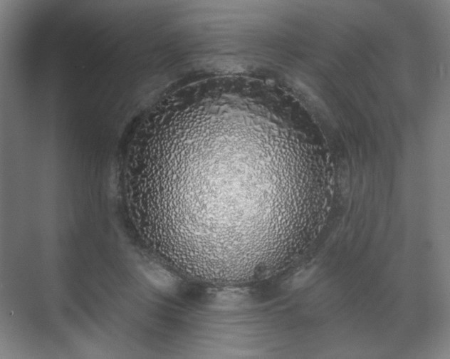 X0000071940359200607141439